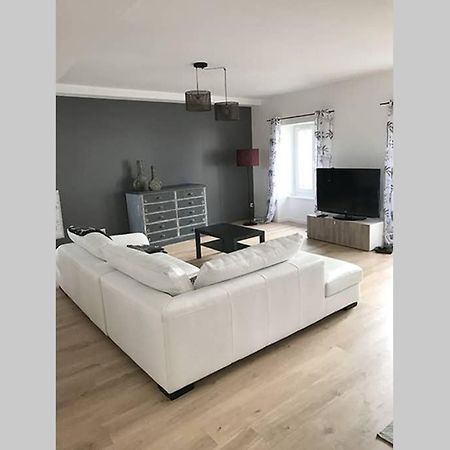 Annonay Centre, Grand Appartement Cosy, 3 Chambres Exteriör bild