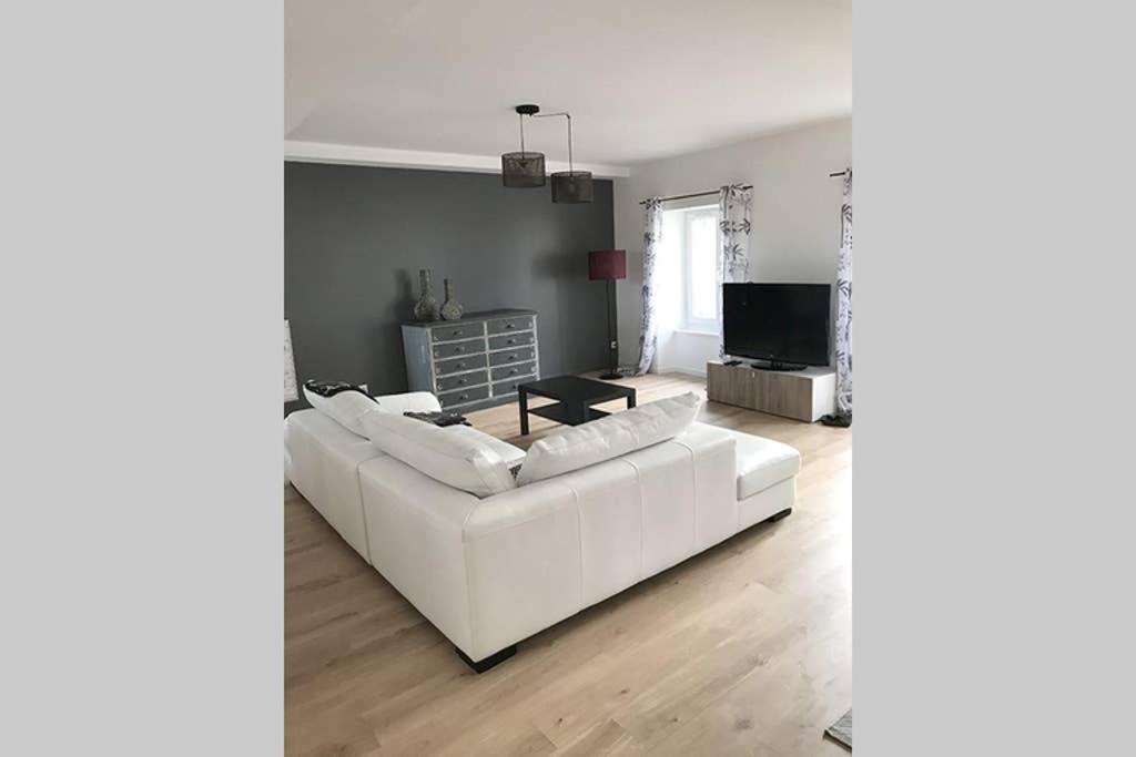Annonay Centre, Grand Appartement Cosy, 3 Chambres Exteriör bild