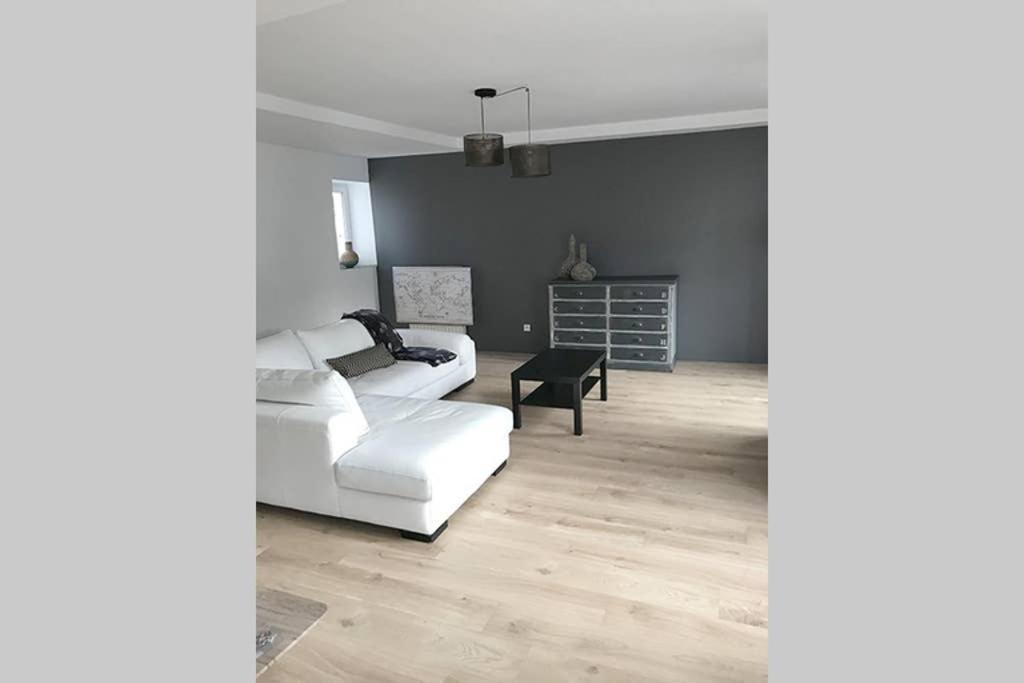 Annonay Centre, Grand Appartement Cosy, 3 Chambres Exteriör bild